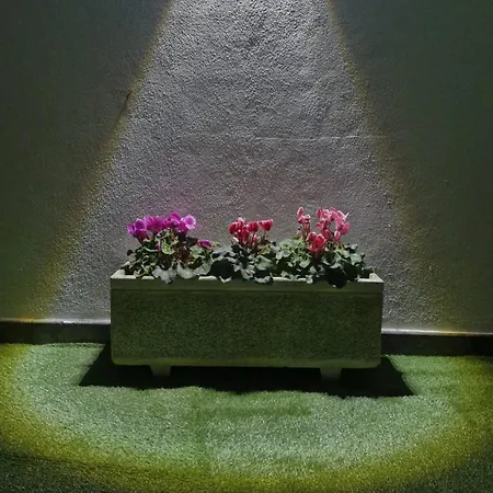 Dom wakacyjny Casa Vereda, Ponta Delgada, S. Miguel Ponta Delgada