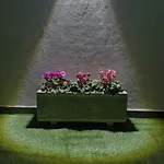 Feriehus Casa Vereda, Ponta Delgada, S. Miguel Ponta Delgada