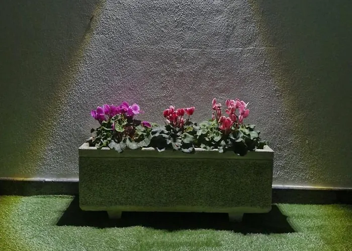 Hébergement de vacances Casa Vereda, Ponta Delgada, S. Miguel Ponta Delgada